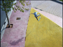 El universo del skate es uno de los más explorados durante la trayectoria artística de Templenton