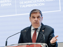 El ministro de Agricultura, Pesca y Alimentación, Luis Planas