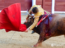 Álvaro Serrano durante la cogida