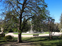 Vista de la fuente monumental de Las Conchas, del arquitecto Ventura Rodríguez (Siglo XVIII), en los jardines del Campo del Moro, a 2 de abril de 2023, en Madrid, (España). Felipe II creó este jardín histórico situado en un eje verde, con más de 20 hectáreas, junto a Madrid Río. Fueron declarados Monumento Histórico Artístico en 1931. Su nombre hace referencia a un episodio histórico sucedido en 1109, cuando el caudillo musulmán Alí Ben Yusuf intentó reconquistar Madrid tras la muerte del rey Alfonso VI, atacando el alcázar desde la ladera próxima al río. Sus tropas y él parece ser que acamparon en el lugar que hoy ocupan los jardines. Con motivo de la próxima inauguración del Museo de las Colecciones Reales (prevista para el verano de 2023) se ha construido un acceso público al Campo del Moro a través de la puerta situada en la intersección del Paseo de Felipe V, en el interior de los jardines, con la Cuesta de la Vega.
02 ABRIL 2023;JARDÍN;JARDINES;PLANTAS;VEGETACIÓN;AIRE LIBRE;PRIMAVERA;MADRID;FUENTE;BANCO;ÁRBOLES;PASEO;
Ricardo Rubio / Europa Press
(Foto de ARCHIVO)
02/4/2023