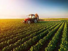 Un tractor recoge la cosecha en un campo de Madrid