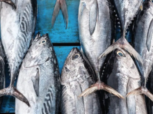 El atún en lata es uno de los alimentos más socorridos de la cocina