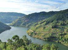 La BBC elogia la Ribeira Sacra
