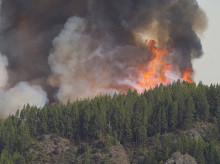 Incendio forestal en La Orotava, Tenerife