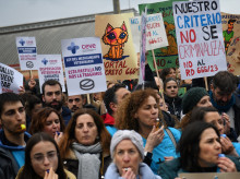 Varias personas con carteles durante una concentración de veterinarios por la polémica de la ley de medicamentos