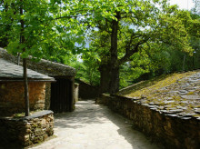 Adegas de Vilachá