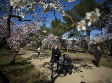 Para esta edición se incluirán el paseo por la Quinta de los Molinos. Así como la incorporación de salidas a distritos periféricos como Villa de Vallecas, Tetuán, San Blas-Canillejas, Hortaleza, Puente de Vallecas y Vicálvaro.