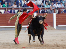 Daniel Luque, con el tercero de la tarde, toro con una preciosa capa