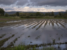 Parcela inundada en Orense