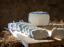 Queso del Llusanés