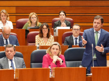 Pleno de las Cortes de Castilla y León