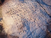 La piedra grabada con runas fue descubierta en 2018 en un bosque de Ontario
