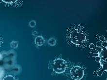 Virus Nipah