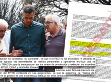 Pedro Sánchez en su visita a las zonas afectadas y el informe del Tribunal de Cuentas