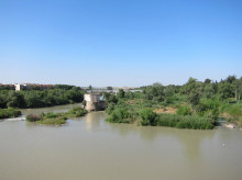 Vista del río Guadalquivir desde el Puente Romano, con los puentes de San Rafael y de Andalucía al fondo, entre los que se sitúa el Cordel de Écija, en Córdoba.
POLITICA ANDALUCÍA ESPAÑA EUROPA CÓRDOBA