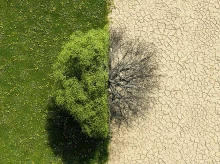 Cambio Climático, Riesgos Extraordinarios y Políticas Públicas