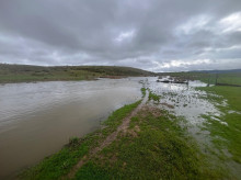 Daños en un campo de cultivo en Almodóvar.

REMITIDA / HANDOUT por ASAJA
Fotografía remitida a medios de comunicación exclusivamente para ilustrar la noticia a la que hace referencia la imagen, y citando la procedencia de la imagen en la firma
11/2/2026