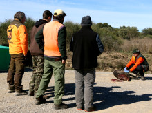 Grupo de cazadores observa a su compañero como extrae una muestra de sangre de un jabalí abatido por la Peste Porcina Africana (PPA).