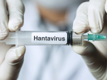 Hantavirus