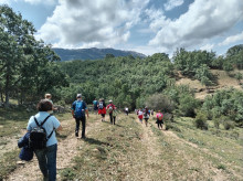 Carpetania ofrece muchos itinerarios ya diseñados, si bien el senderista puede trazar su propia ruta en función del tiempo que tiene, el nivel de dificultad o los recursos que quiere visitar