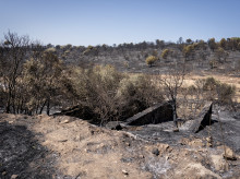 Terreno quemado por el incendio forestal en Madrid