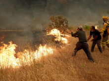 Bomberos y ciudadanos, aplicándose en el incendio de Ávila a la altura de Cebreros, un fuego que, durante horas, corría el riesgo de fusionarse con el de Madrid.