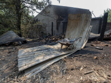 Restos del incendio forestal de Burgohondo (Ávila)