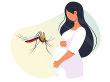 Repelentes de mosquitos durante el embarazo