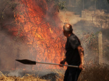 Incendio forestal en Fermoselle (Zamora)