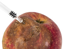 Identifican la fructosa como un factor en la propagación del cáncer