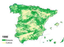 Mapa bosques