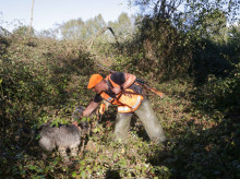 La Xunta declara por primera vez la emergencia cinegética en toda Galicia para frenar la expansión del jabalí