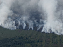 Un incendio forestal en Bélgica a vista de dron