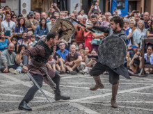 Festival Terra de Trobadors