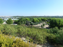Imagen de la zona del cerro mirador desde donde hay una vista privilegiada 

Parque de las Autonomías