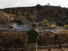 (Foto de ARCHIVO)
Zonas afectadas por el incendio forestal de Los Gallardos (Almería). A 15 de julio de 2026 en Bédar, Almería (Andalucía, España) El vicepresidente de la Asociación Protectora de Animales Furia, Pedro Asensio, uno de tres colectivos que trabajan de forma conjunta en el rescate de animales radicados en las zonas afectadas por el incendio de Los Gallardos (Almería), ha asegurado que las altas temperaturas y la velocidad del incendio "se ha llevado a muchísimos animales por delante", al tiempo de fijar las labores de búsqueda y rescate "mínimo hasta la semana que viene".

Marian León / Europa Press
15 JULIO 2026
14/7/2026