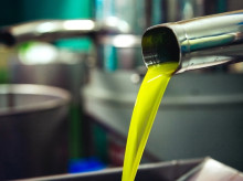 Producción de aceite virgen extra en una almazara