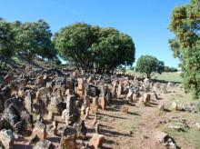 Castilviejo