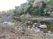 Caozo del Río Huebra durante el duro estiaje