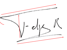 La firma del Rey Felipe VI