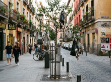 Bolsas de basura colgadas de árboles en Malasaña