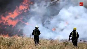 Imagen del nuevo foco en el incendio forestal de Aranjuez