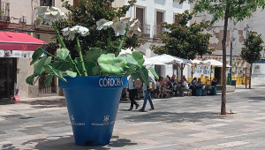 Macetones en Córdoba