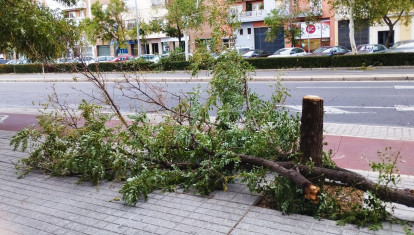 La borrasca Bernard en Córdoba