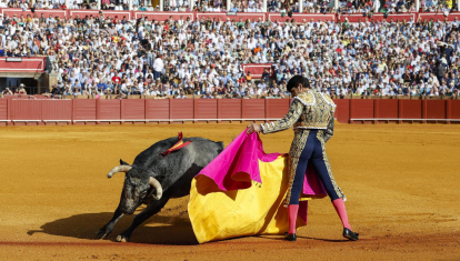 El diestro Manuel Jesús 'El Cid' da un pase a «Dorador», primer toro de su lote, reconocido con la vuelta al ruedo