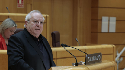 El senador de ERC Joan Josep Queralt interviene en el pleno del Senado