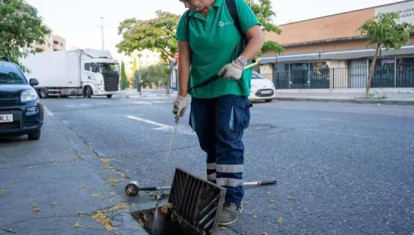 Labores de desinsección en Mairena del Aljarafe
