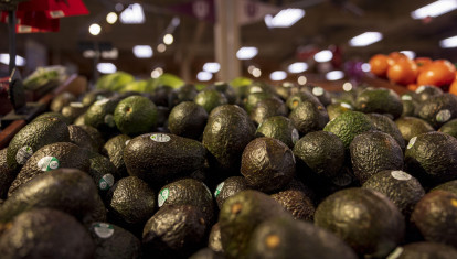 Aguacates producidos fuera de la Unión Europea