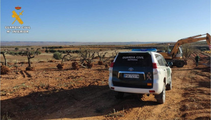 Agentes del Seprona intervienen la extracción de olivos para comercializarlos sin permiso