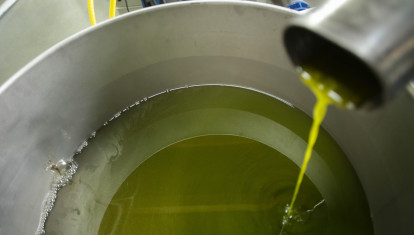 Producción de aceite en España